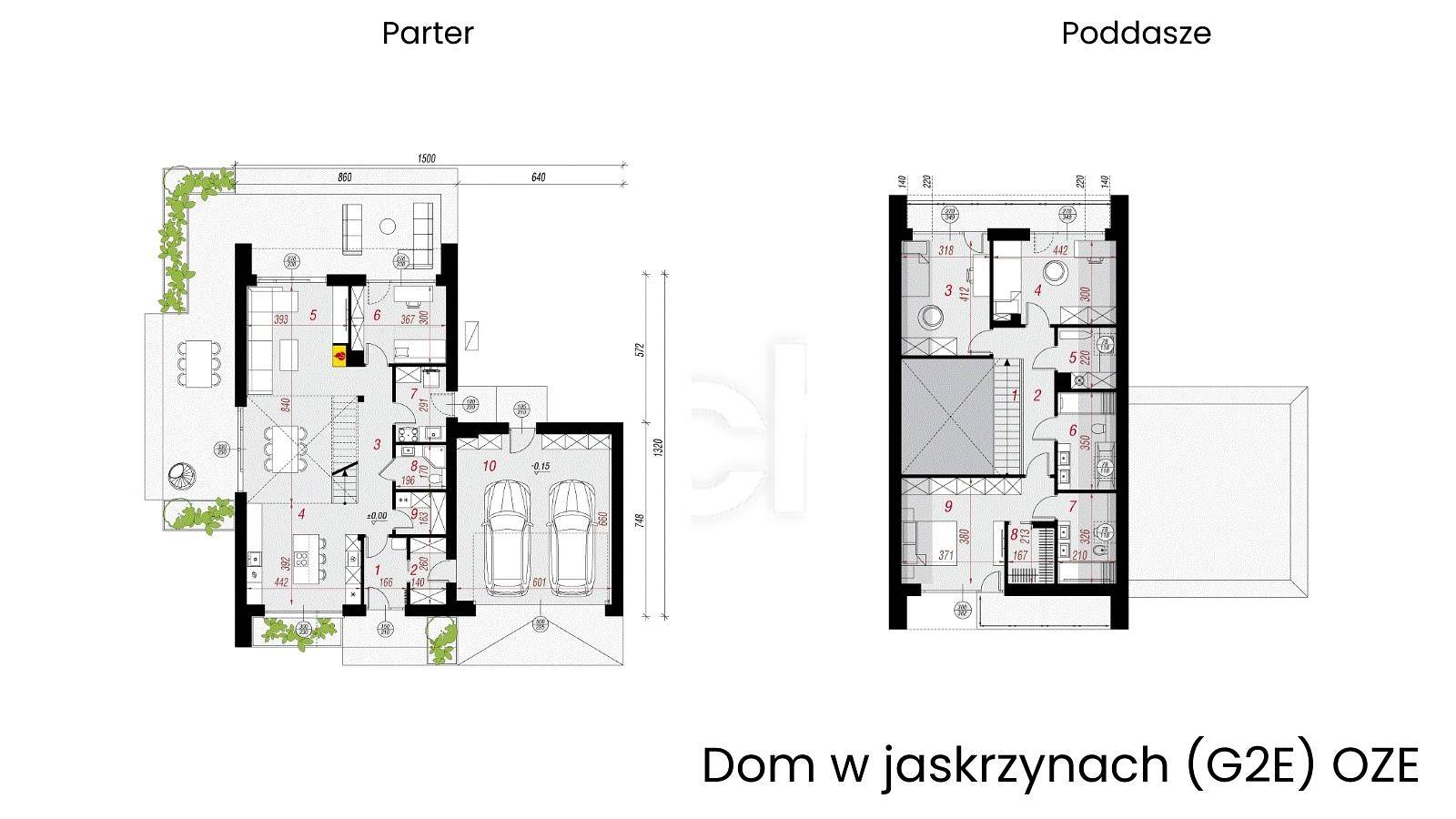 rzuty.jpg